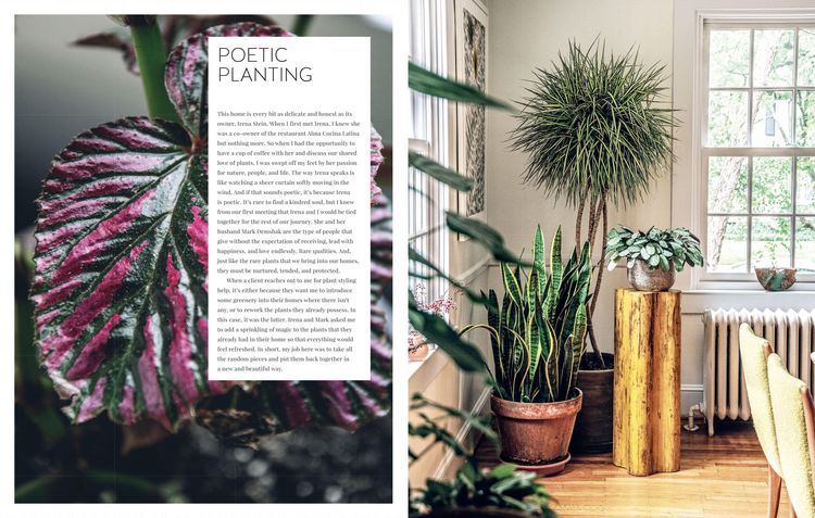 Produktbild: Living Wild