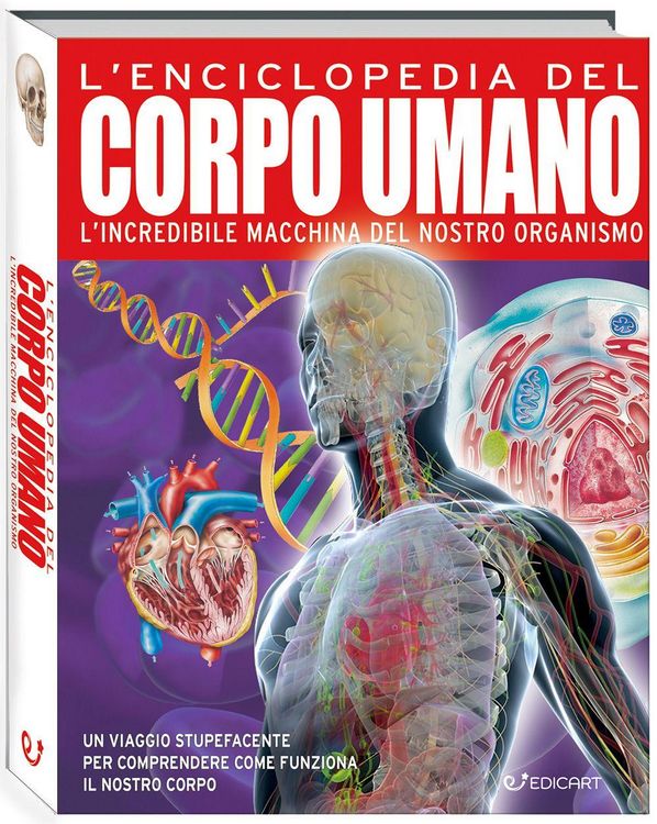 Produktbild: L' enciclopedia del corpo umano