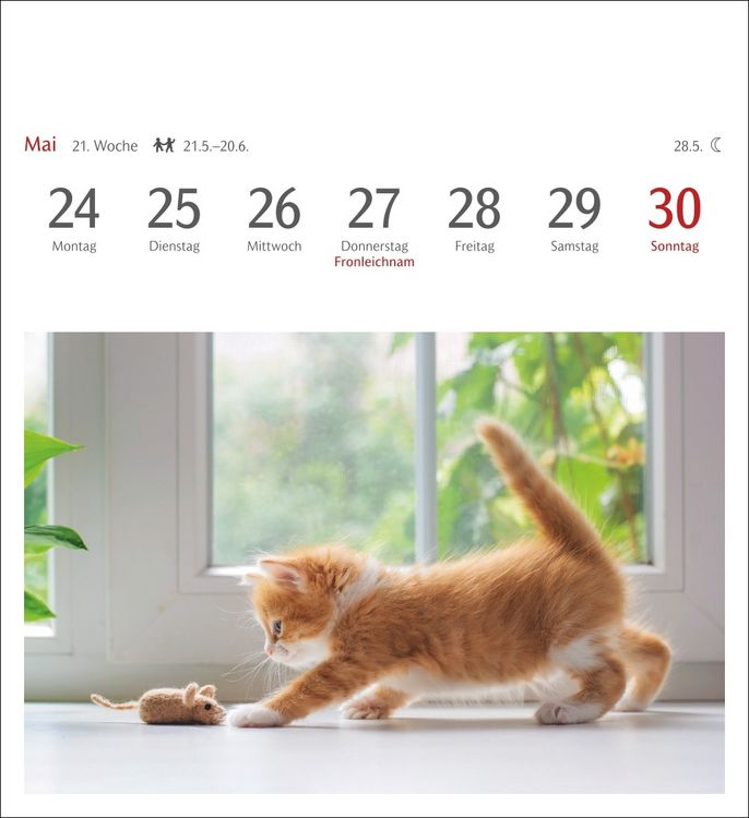 Produktbild: Katzen Postkartenkalender 2027 - Wochenkalender mit 53 Postkarten
