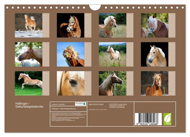 Produktbild: Haflinger / Geburtstagskalender (Wandkalender 2026 DIN A4 quer), CALVENDO Monatskalender