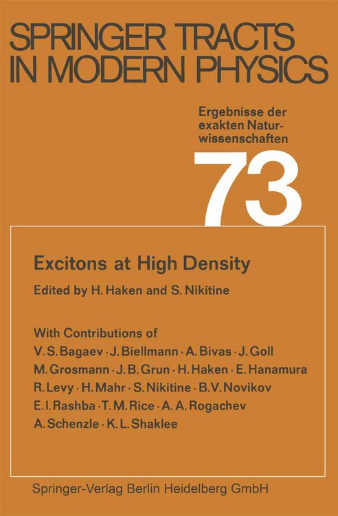 Produktbild: Excitons at High Density