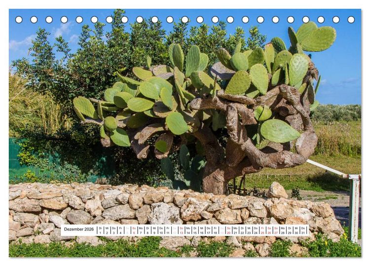 Produktbild: Sizilien 2026 (Tischkalender 2026 DIN A5 quer), CALVENDO Monatskalender
