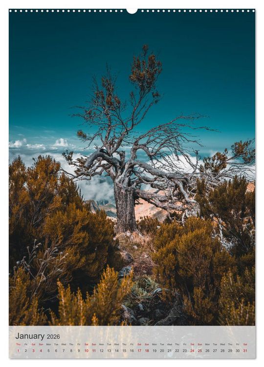 Produktbild: The Flower Island Madeira (Wall Calendar 2026 DIN A2 portrait), CALVENDO 12 Month Wall Calendar