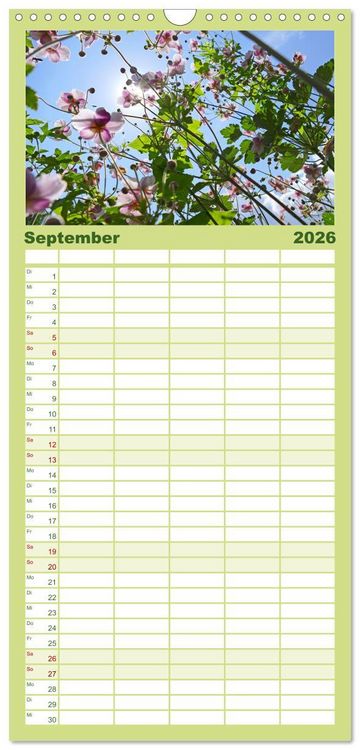 Produktbild: Familienplaner 2026 - Garten von unten. Ein Perspektivwechsel mit 5 Spalten (Wandkalender, 21 x 45 cm) CALVENDO