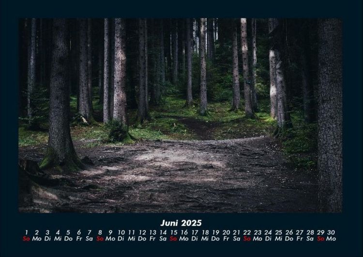 Produktbild: Waldzauber 2025 Fotokalender DIN A4