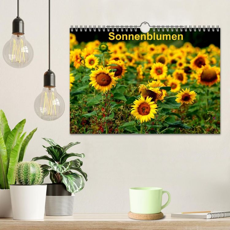 Produktbild: Sonnenblumen (Wandkalender 2027 DIN A4 quer), CALVENDO Monatskalender