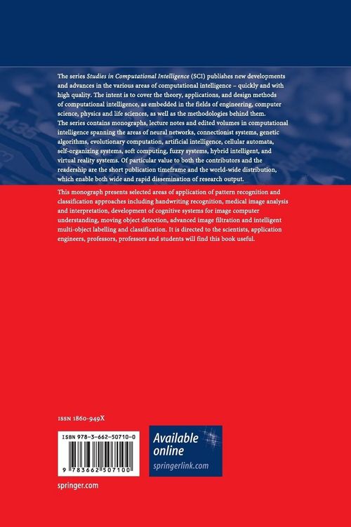 Produktbild: Computational Intelligence Paradigms in Advanced Pattern Classification