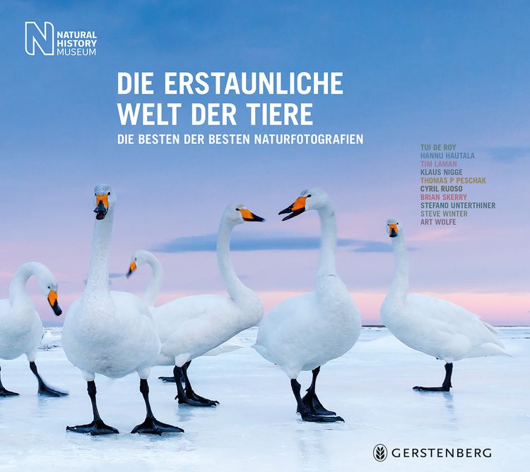Produktbild: Die erstaunliche Welt der Tiere