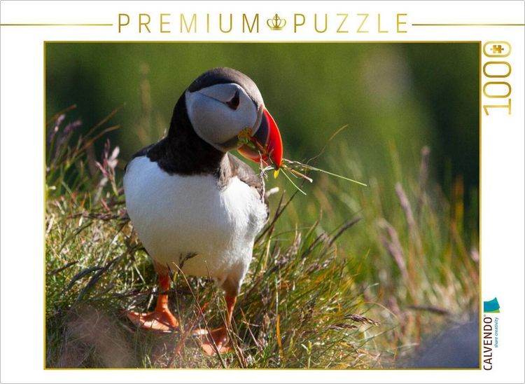 Produktbild: CALVENDO Puzzle Papageientaucher | 1000 Teile Lege-Gr&ouml;&szlig;e 64x48cm Foto-Puzzle f&uuml;r gl&uuml;ckliche Stunden