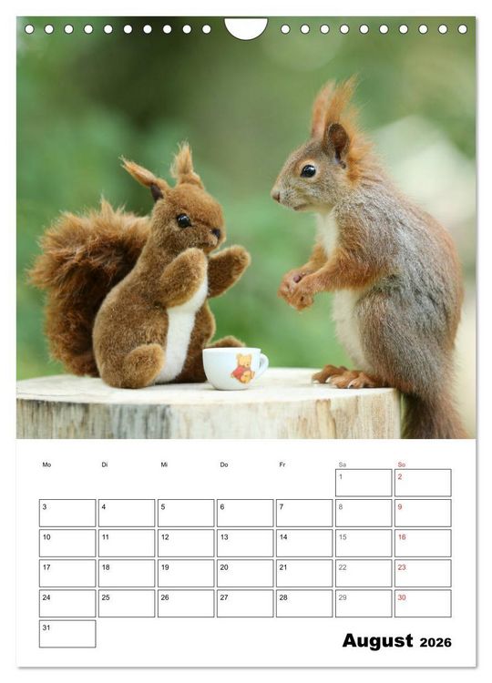 Produktbild: Die kleine Welt der Eichh&ouml;rnchen in Regensburg (Wandkalender 2026 DIN A4 hoch), CALVENDO Monatskalender