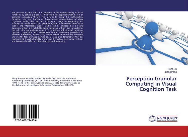 Produktbild: Perception Granular Computing in Visual Cognition Task