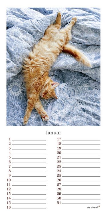 Produktbild: Geburtstagskalender Katzen