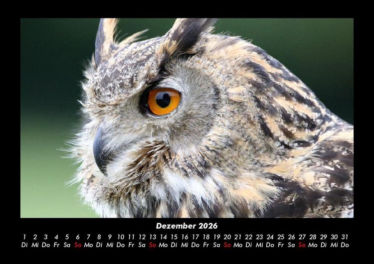 Produktbild: Der Tierkalender 2026 Fotokalender DIN A3