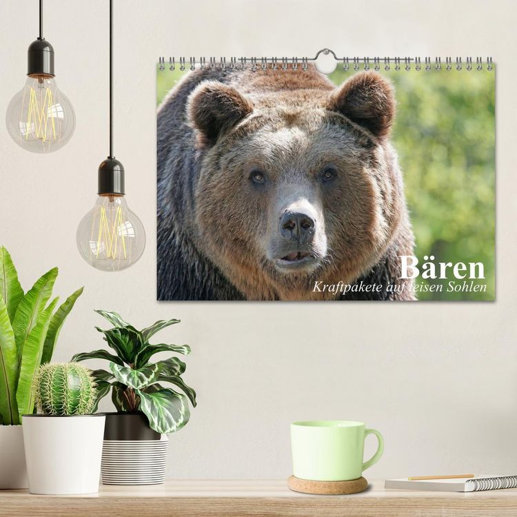 Produktbild: B&auml;ren. Kraftpakete auf leisen Sohlen (Wandkalender 2026 DIN A4 quer), CALVENDO Monatskalender