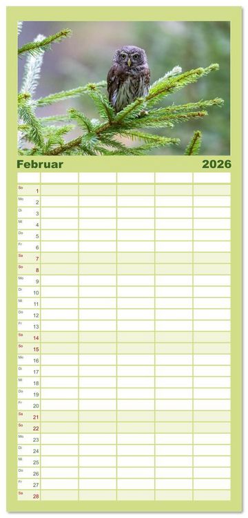 Produktbild: Familienplaner 2026 - Eulen - Fl&uuml;gel der Nacht mit 5 Spalten (Wandkalender, 21 x 45 cm) CALVENDO