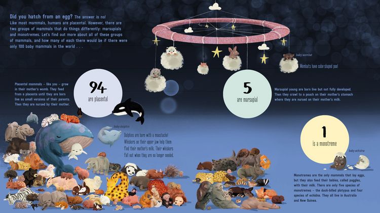 Produktbild: IF WORLD WERE 100 ANIMALS PB
