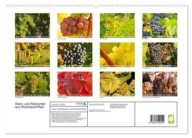 Produktbild: Wein- und Rebsorten aus Rheinland-Pfalz (hochwertiger Premium Wandkalender 2025 DIN A2 quer), Kunstdruck in Hochglanz