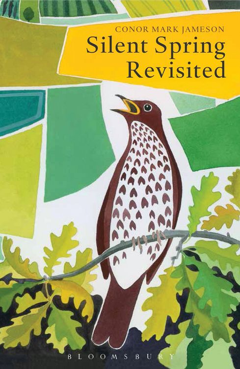 Produktbild: Silent Spring Revisited
