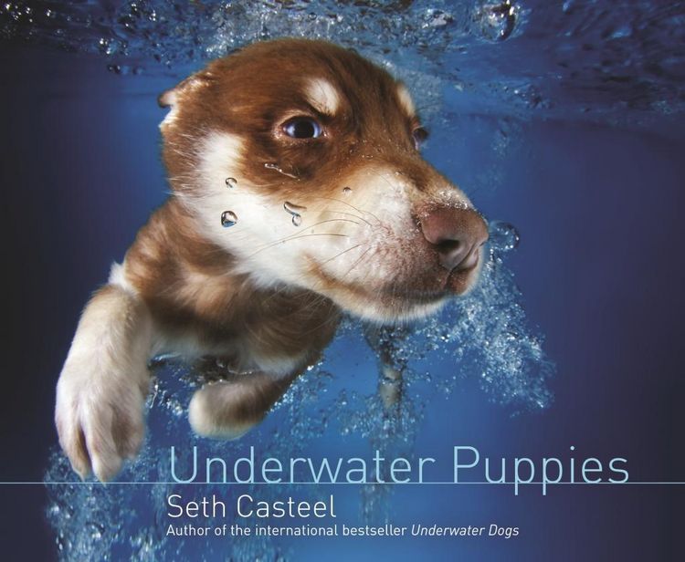 Produktbild: Underwater Puppies