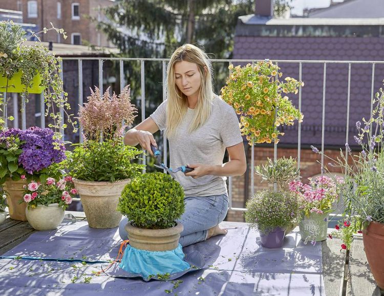 Produktbild: GARDENA CityGardening 00508-20 Formschnittmatte