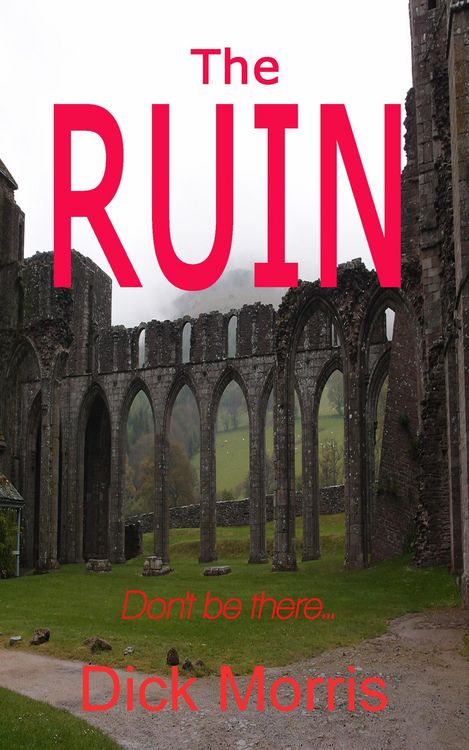 Produktbild: The Ruin (Horror Stories, #2)
