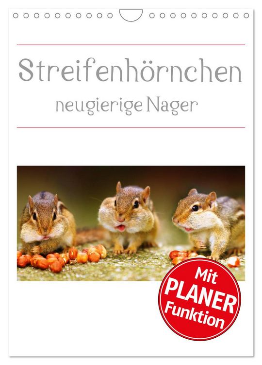 Produktbild: Streifenh&ouml;rnchen - neugierige Nager (Wandkalender 2026 DIN A4 hoch), CALVENDO Monatskalender