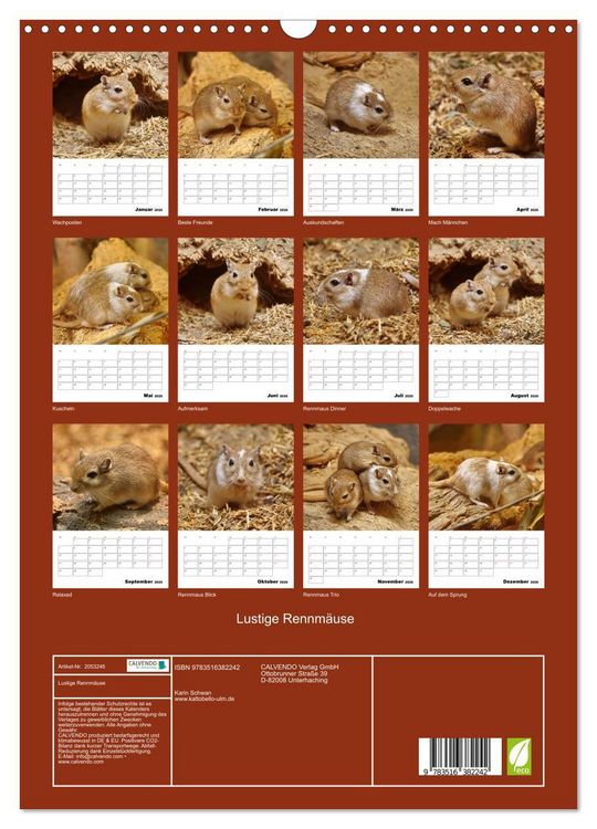 Produktbild: Lustige Rennm&auml;use (Wandkalender 2026 DIN A3 hoch), CALVENDO Monatskalender