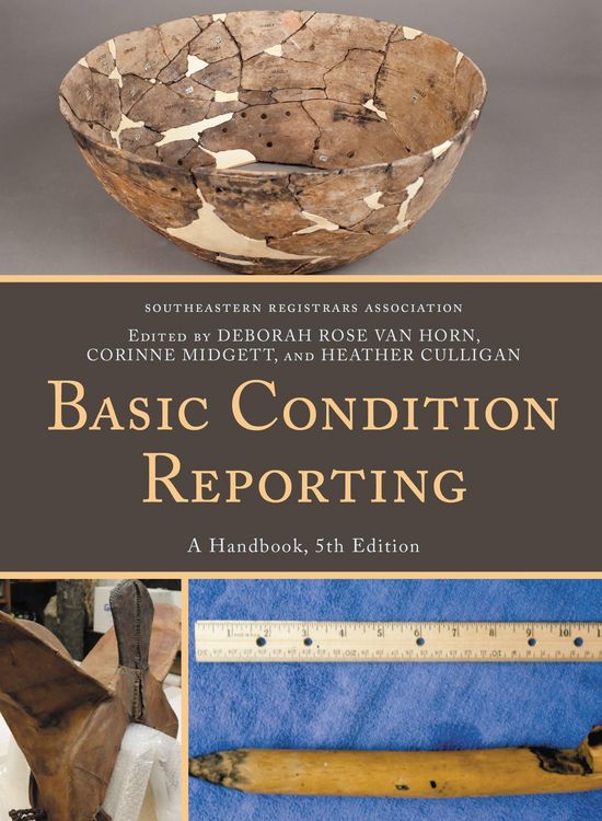 Produktbild: Basic Condition Reporting