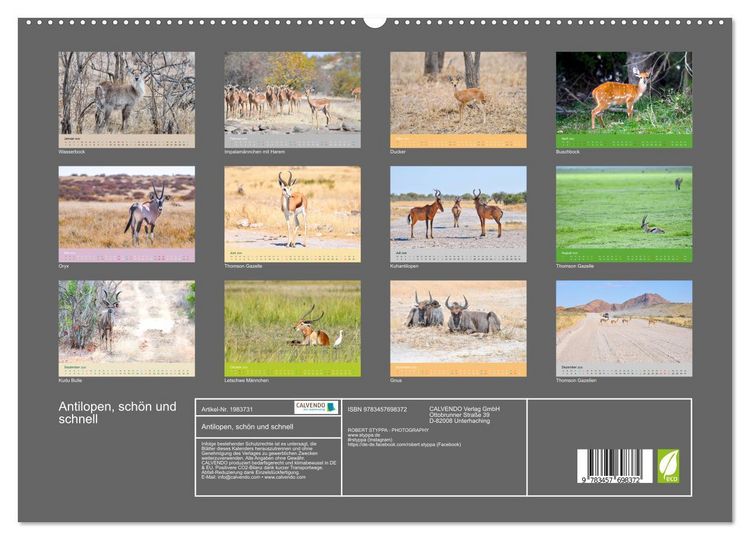 Produktbild: Antilopen, sch&ouml;n und schnell (hochwertiger Premium Wandkalender 2026 DIN A2 quer), Kunstdruck in Hochglanz