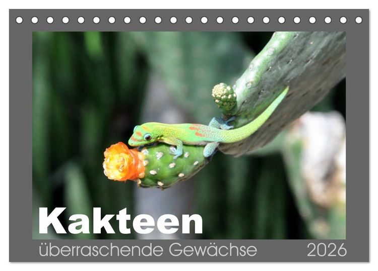 Produktbild: Kakteen - &uuml;berraschende Gew&auml;chse (Tischkalender 2026 DIN A5 quer), CALVENDO Monatskalender