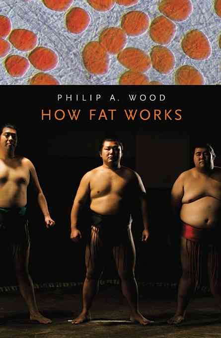 Produktbild: How Fat Works: ,