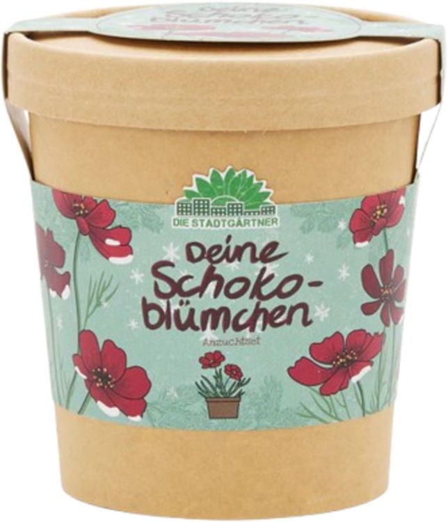 Produktbild: Anzuchtset Saatgut Schokoblumen aus dem Becher
