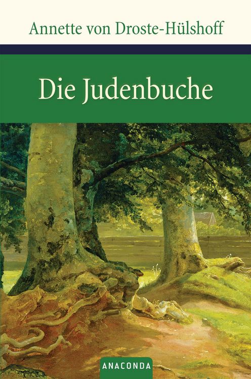 Produktbild: Die Judenbuche