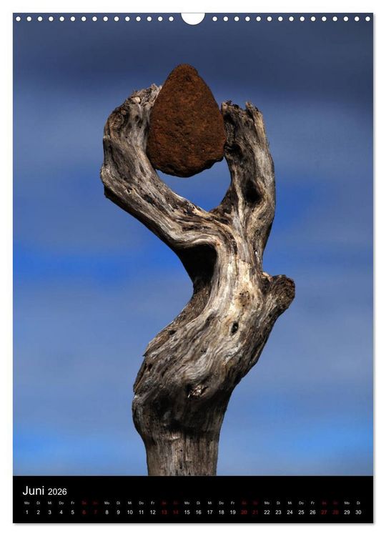 Produktbild: NATUREART - KUNST IN DER NATUR (Wandkalender 2026 DIN A3 hoch), CALVENDO Monatskalender