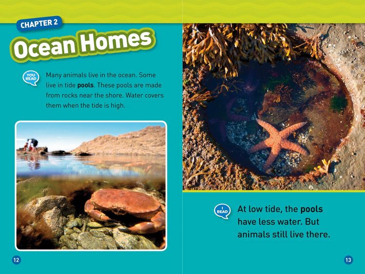 Produktbild: In the Ocean (National Geographic Kids Readers, Level 1/Co-Reader)
