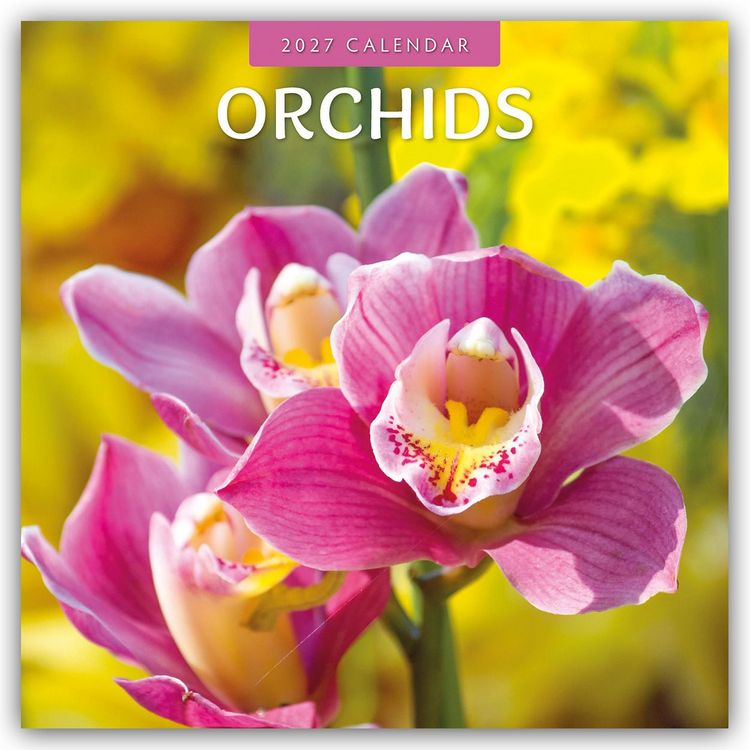 Produktbild: Orchids &ndash; Orchideen 2027 &ndash; 16-Monatskalender
