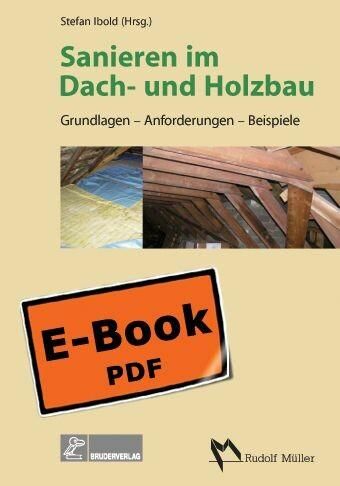 Produktbild: Sanieren im Dach- und Holzbau