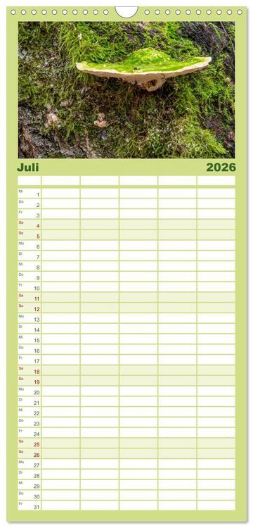 Produktbild: Familienplaner 2026 - Pilze in den Herbstw&auml;ldern mit 5 Spalten (Wandkalender, 21 x 45 cm) CALVENDO