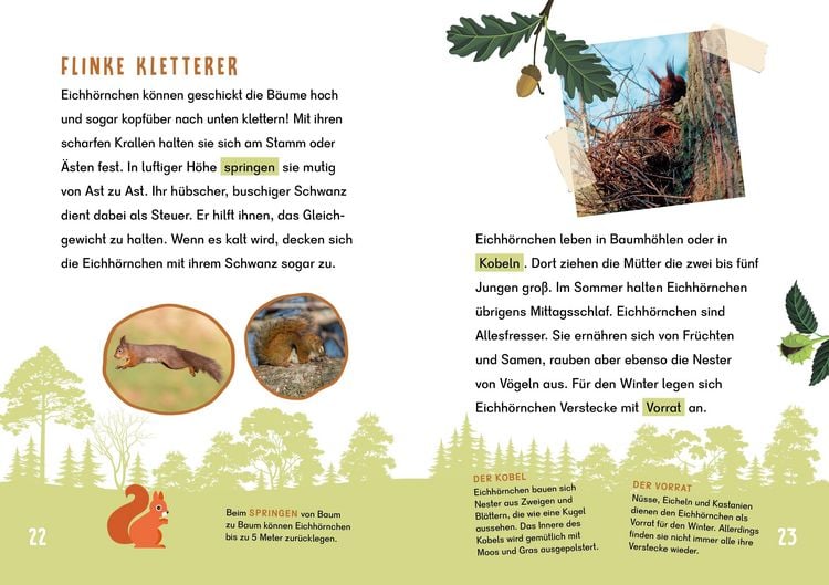 Produktbild: Dein Lesestart - Wald