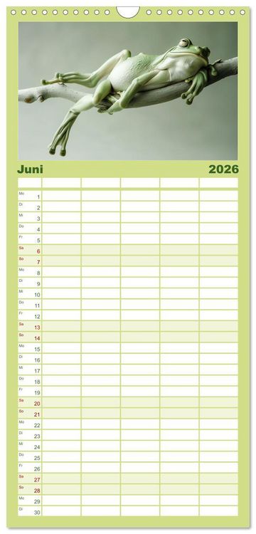 Produktbild: Familienplaner 2026 - Lustige Amphibienbande mit 5 Spalten (Wandkalender, 21 x 45 cm) CALVENDO