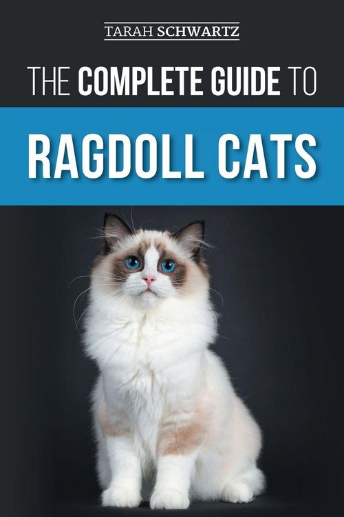 Produktbild: The Complete Guide to Ragdoll Cats