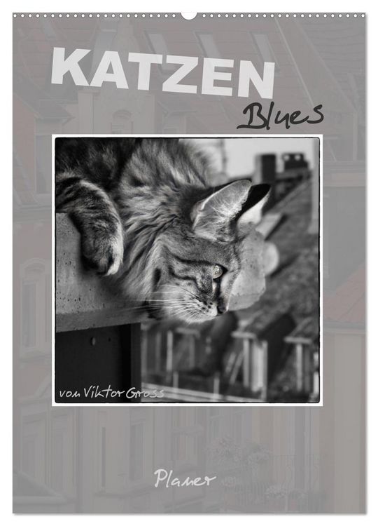 Produktbild: Katzen Blues / Planer (Wandkalender 2026 DIN A2 hoch), CALVENDO Monatskalender