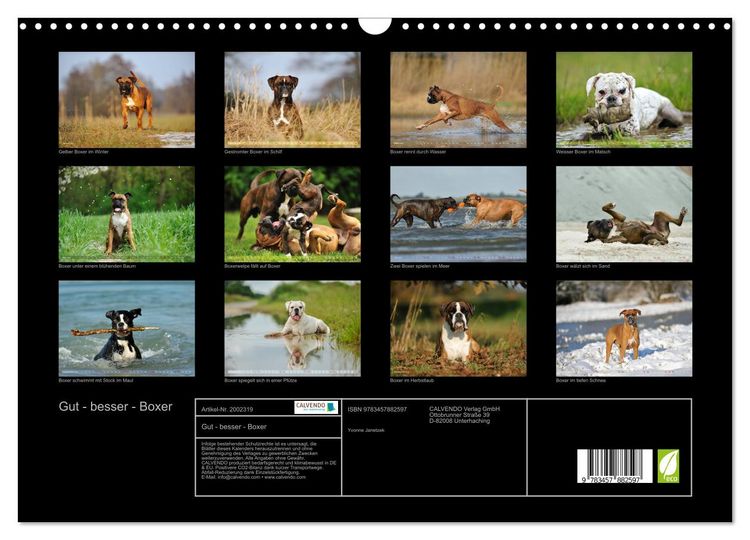 Produktbild: Gut - besser - Boxer (Wandkalender 2026 DIN A3 quer), CALVENDO Monatskalender