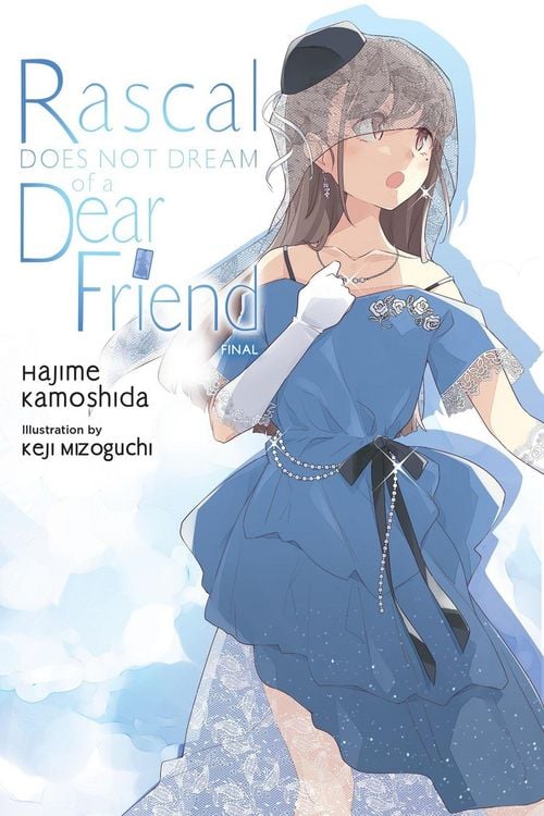 Produktbild: Rascal Does Not Dream of a Dear Friend (light novel)