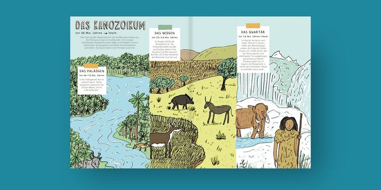 Produktbild: Steine und Gebeine