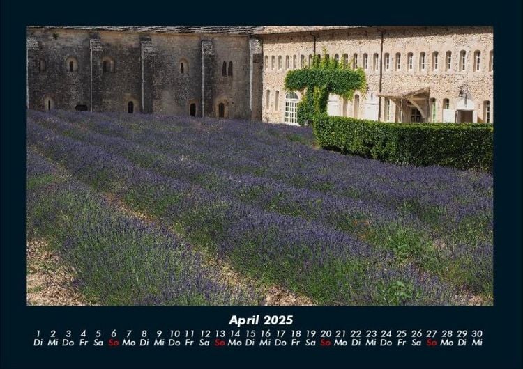 Produktbild: Blumenkalender 2025 Fotokalender DIN A4