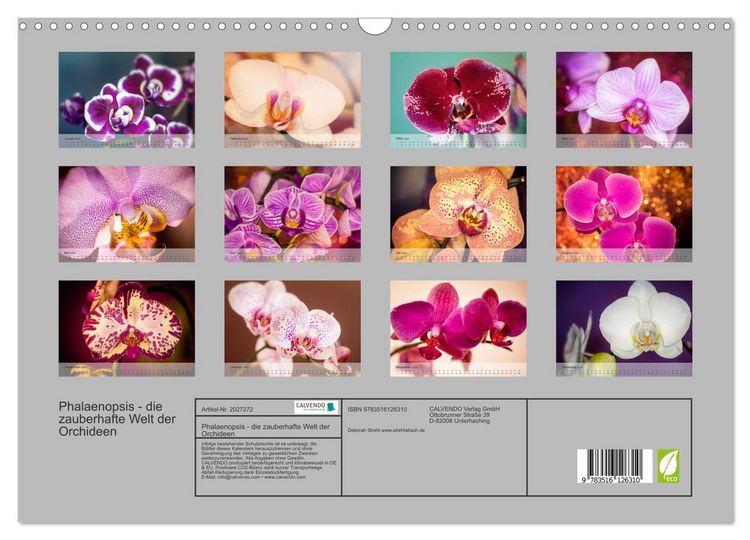 Produktbild: Phalaenopsis - die zauberhafte Welt der Orchideen (Wandkalender 2026 DIN A3 quer), CALVENDO Monatskalender