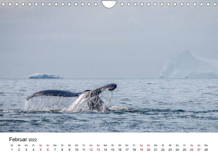 Produktbild: Gr&ouml;nlands Westen (Wandkalender 2022 DIN A4 quer)
