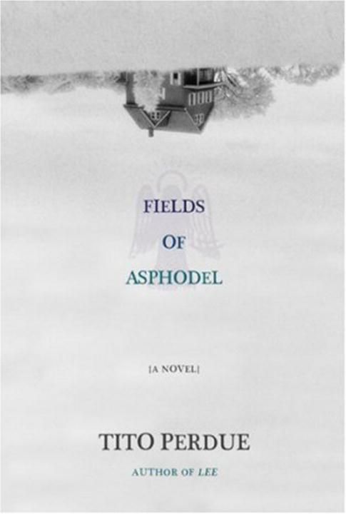 Produktbild: Fields Of Asphodel