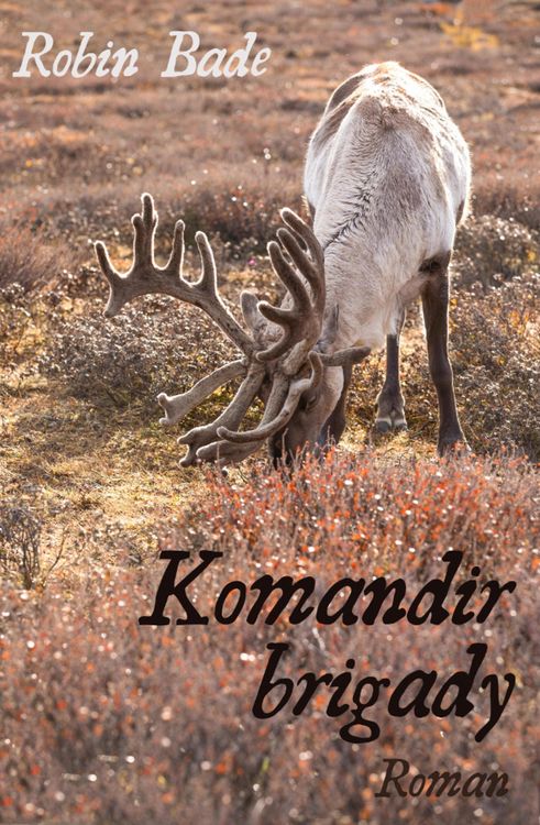Produktbild: Komandir brigady
